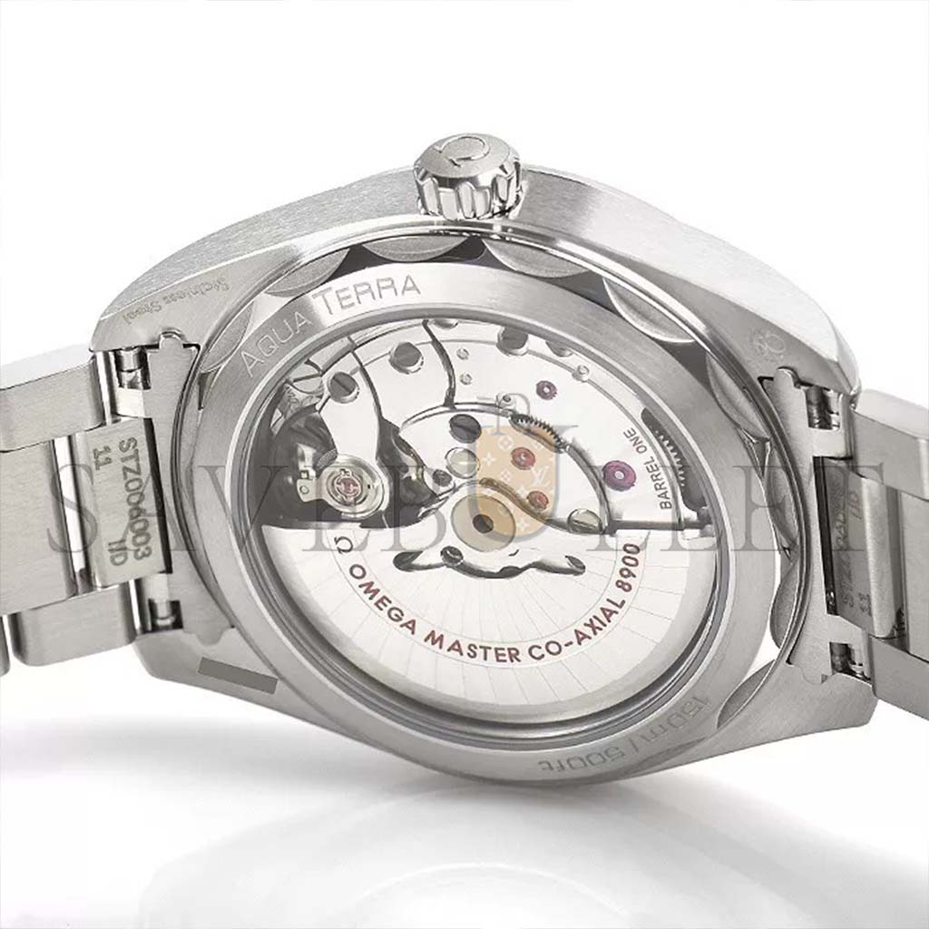 OMEGA SEAMASTER AQUA TERRA 150M 41MM WATCH 220.10.41.21.03.004
